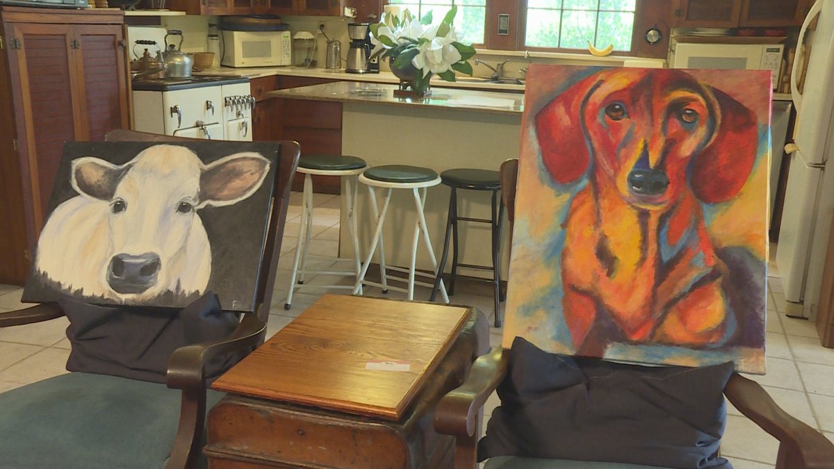 Two colorful original paintings, a white calf and a red dachshund, propped on chairs in a home kitchen