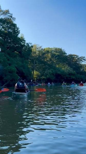 A group of kayakers paddling a tree-lined stretch of Bayou Bartholomew on a sunny day